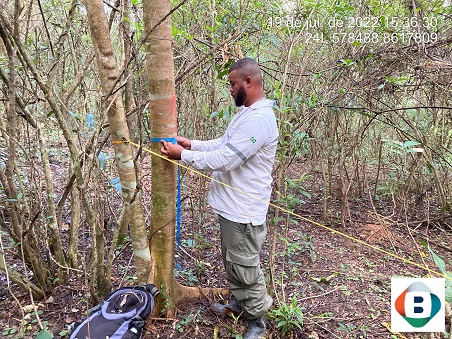 Serviços de licenciamento ambiental